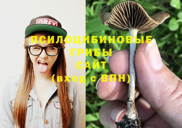 2c-b Вяземский
